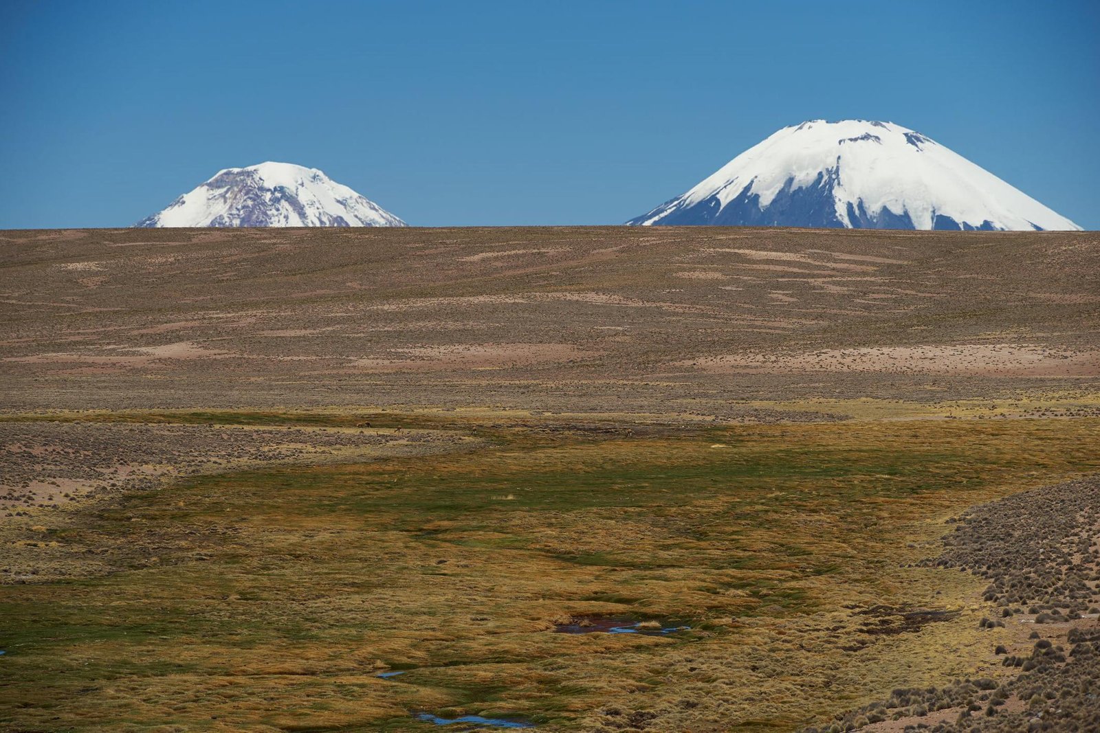 Mt. Kilimanjaro Climbing