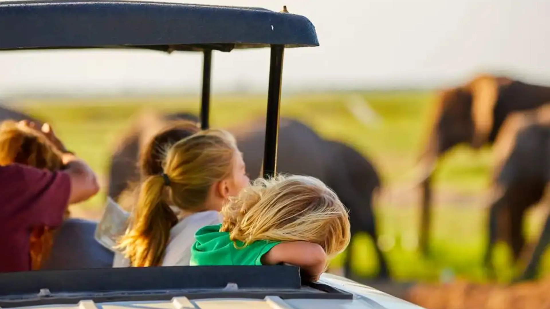 family-safari-experience