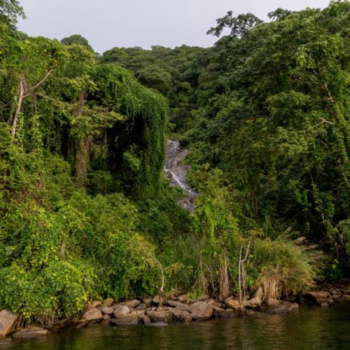 Mahale National Park