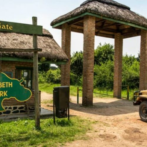 Queen Elizabeth National Park 1