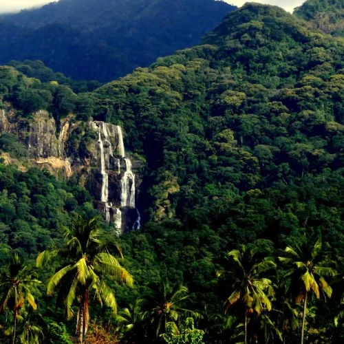 Udzungwa National Park